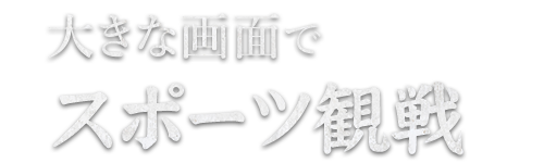 大きな画面でスポーツ観戦